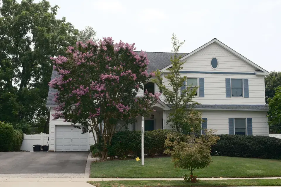 mold removal Willard